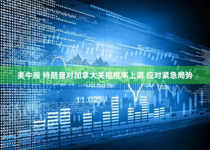 美牛股 特朗普对加拿大关税税率上调 应对紧急局势