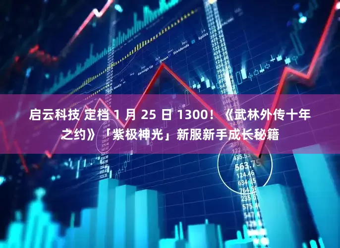 启云科技 定档 1 月 25 日 1300！《武林外传十年之约》「紫极神光」新服新手成长秘籍