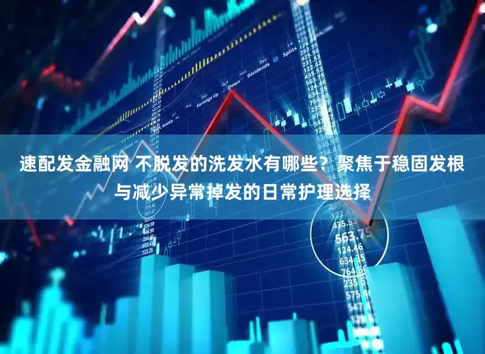 速配发金融网 不脱发的洗发水有哪些？聚焦于稳固发根与减少异常掉发的日常护理选择